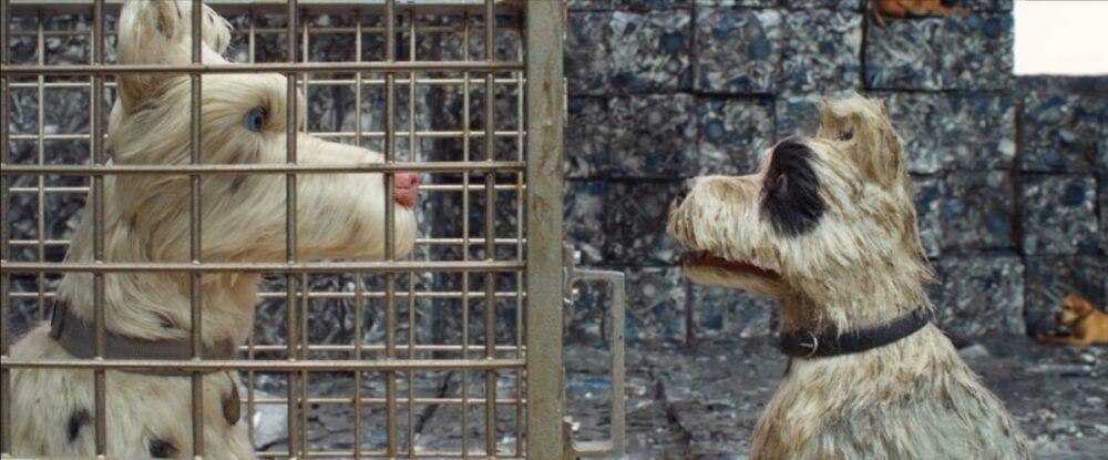 Isle of Dogs