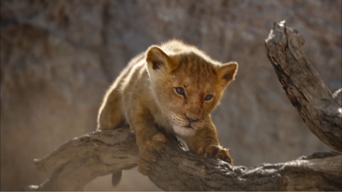 The Lion King